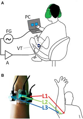 Temporal and spatial characteristics of bone conduction as non-invasive haptic sensory feedback for upper-limb prosthesis